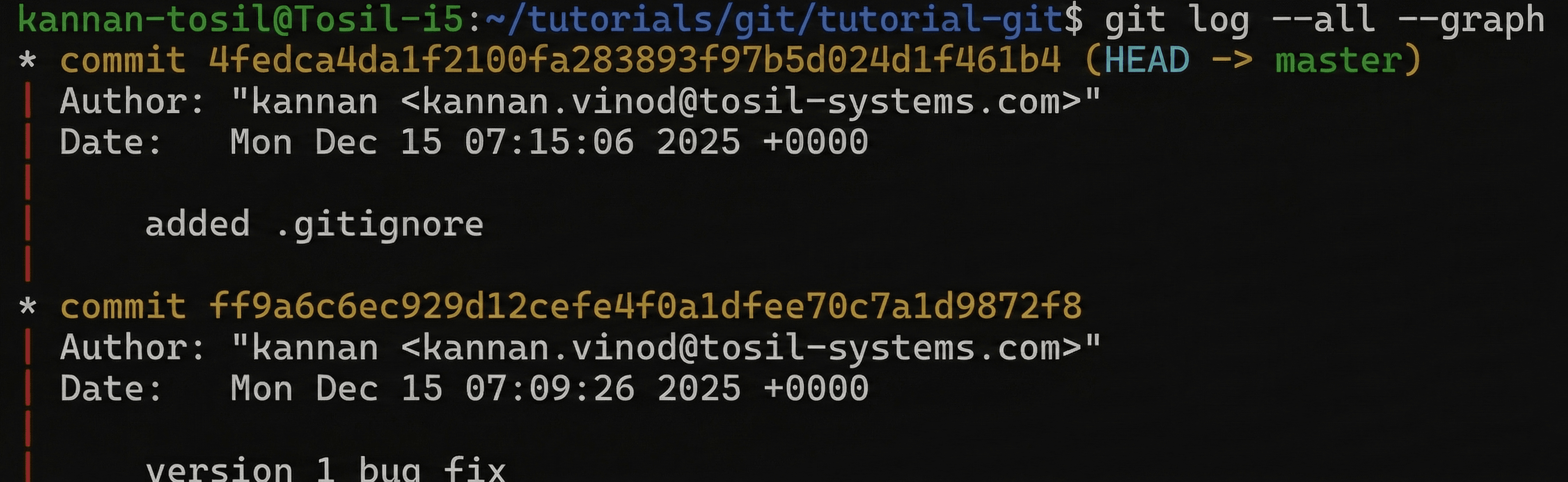 primary areas of git